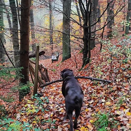 Bergenrot Urlaub Mit Hund Apartmán *