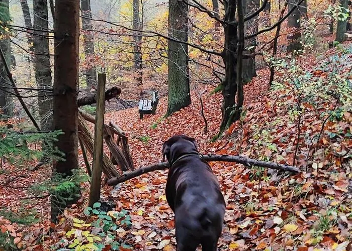 Bergenrot Urlaub Mit Hund Appartement *
