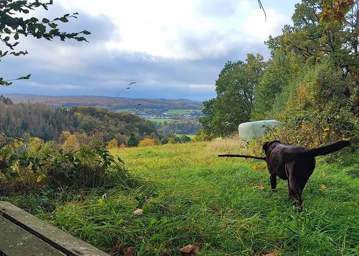 Bergenrot Urlaub Mit Hund Apartmán *