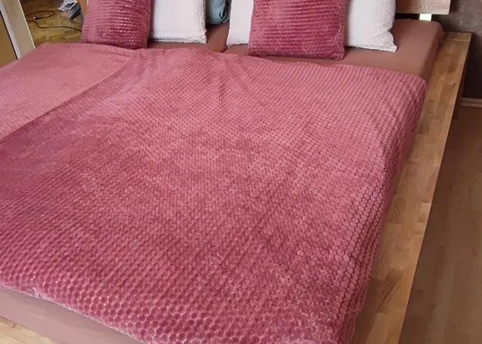 Bergenrot Urlaub Mit Hund *